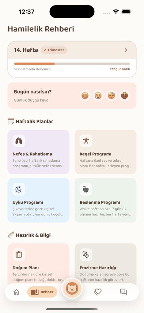 Baby Wallie — Hamilelik Rehberi ekranı