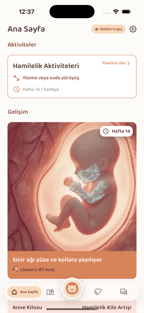 Baby Wallie — Haftalık Bebek Gelişimi ekranı