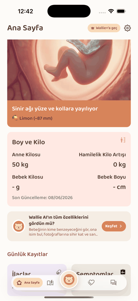 Baby Wallie — Sağlık Takibi ekranı